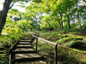 殿ヶ谷戸庭園