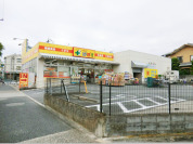 どらっぐぱぱす島根店
