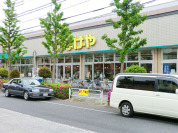いなげや江戸川春江店