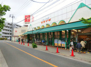 ヤマイチ一之江店