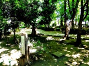 徳殿公園