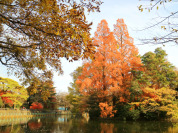 練馬区立武蔵関公園