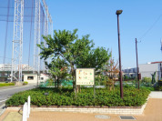 練馬区立つのの山緑地