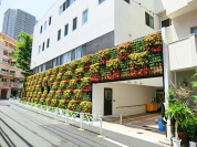 代官山保育園