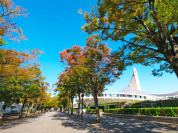 代々木公園 