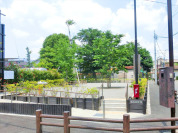 えのき広場