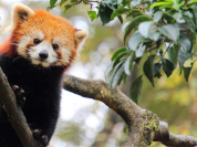 多摩動物公園