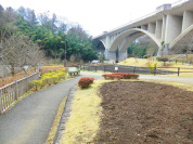 上谷戸親水公園