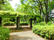 永山第一公園