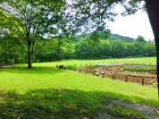 大谷戸公園