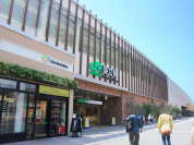 nonowa国立