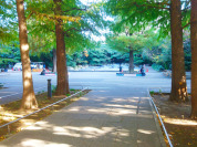 豊島区立東池袋中央公園