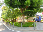 西野川せせらぎ
