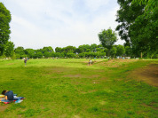 西東京いこいの森公園