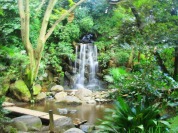 北区立名主の滝公園