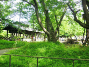 赤羽自然観察公園