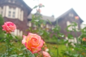 旧古河庭園