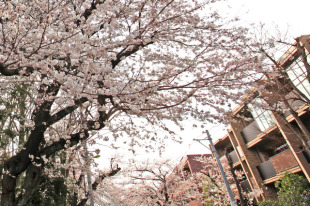 お客様写真 Vol.173