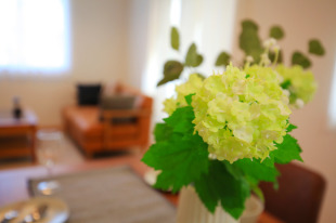 お客様写真 Vol.183