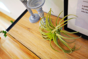 お客様写真 Vol.397