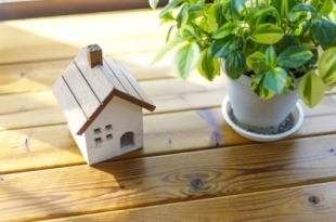 お客様写真 Vol.520