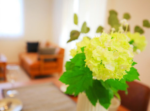 お客様写真 Vol.539