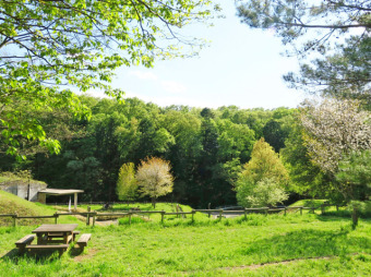 野山北・六道山公園