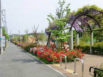 片平中村通公園