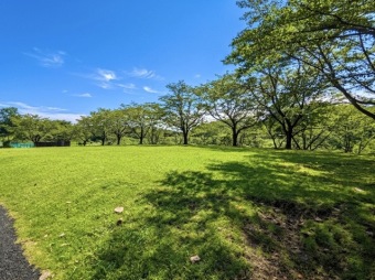 殿入中央公園