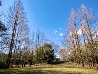 ゆりのき台中央公園