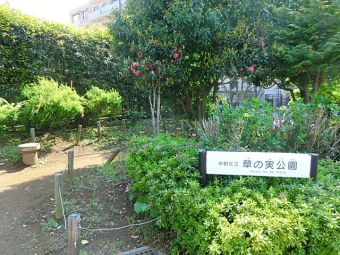 草の実公園