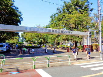 大蔵運動公園