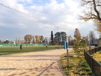 南台いちょう公園