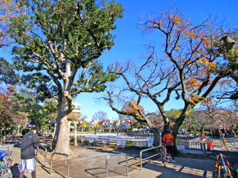 清水池公園