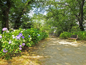 杉並区立玉川上水第二公園