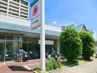 ピーコックストア 花小金井店