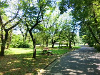 東京都立大泉中央公園