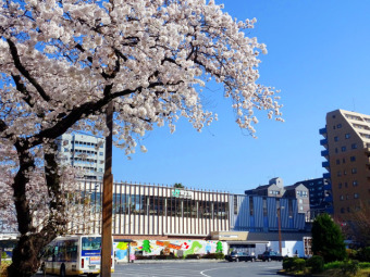 JR中央線「国立」駅