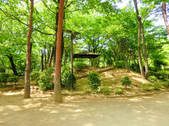 国分寺市立けやき公園