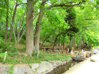 黒川清流公園