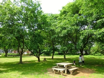 大木島自然公園