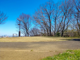 都立桜ヶ丘公園