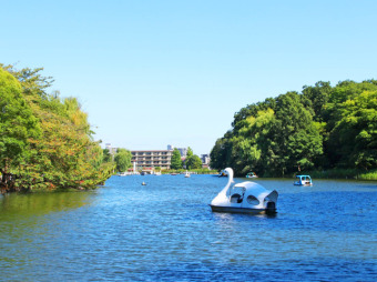 石神井公園 