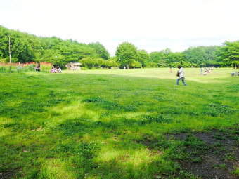 東村山中央公園