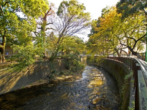 お客様写真 Vol.170