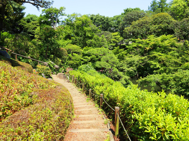 品川区立池田山公園