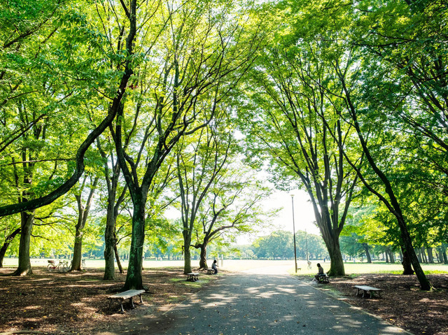 小金井公園