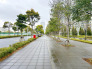 【前面道路】
