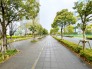 【前面道路】

