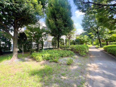 【公園】南側に公園が隣接しているので陽当たり・風通しが良い緑豊かな住環境。 【公園】南側に公園が隣接しているので陽当たり・風通しが良い緑豊かな住環境。